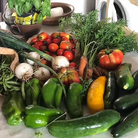 Au Coeur De Valensole, Calme Et Douceur Provencale 公寓 瓦朗索尔