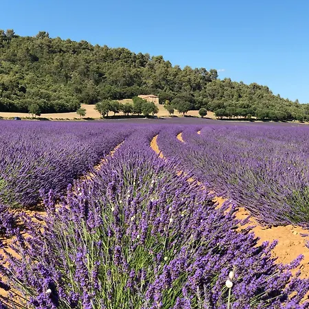 Au Coeur De Valensole, Calme Et Douceur Provencale *